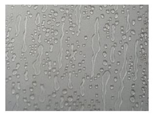 Immagine di LASTRE A GOCCIA 100X200 X BOX DOCCIA